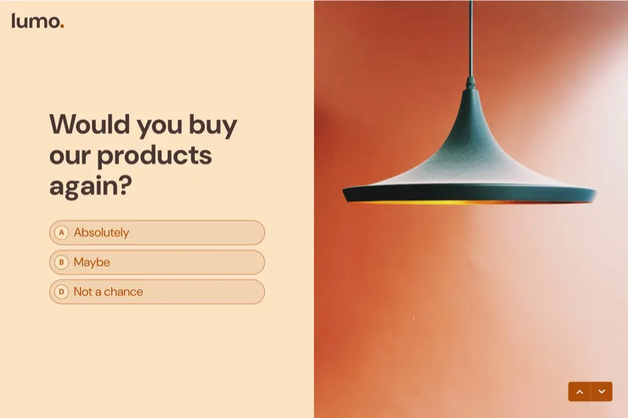 Interactive Product Feedback Survey